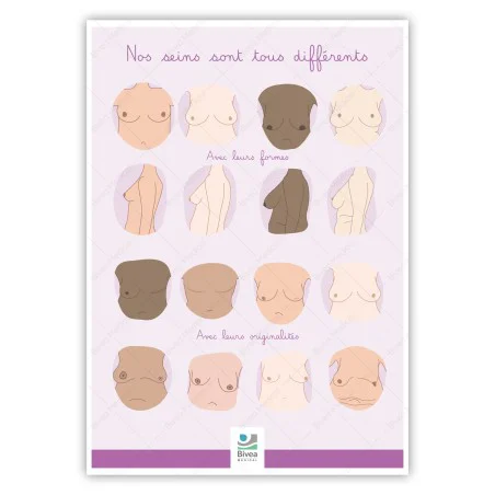 sch-ma-anatomique-nos-seins-sont-tous-diff-rents