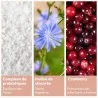 MY Essentiels Flore Intime et Intestinale MY Essentiels Flore Intime et Intestinale