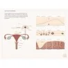 Livre Manuel pour une fertilité émancipée Livre Manuel pour une fertilité émancipée