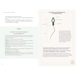 RECONDITIONNE Livre Manuel pour une fertilité 6