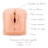 Modèle anatomique Vagin et Utérus pour Formation Modèle anatomique Vagin et Utérus pour Formation