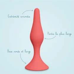 Pack dilatateurs anaux Intimate rose - Large