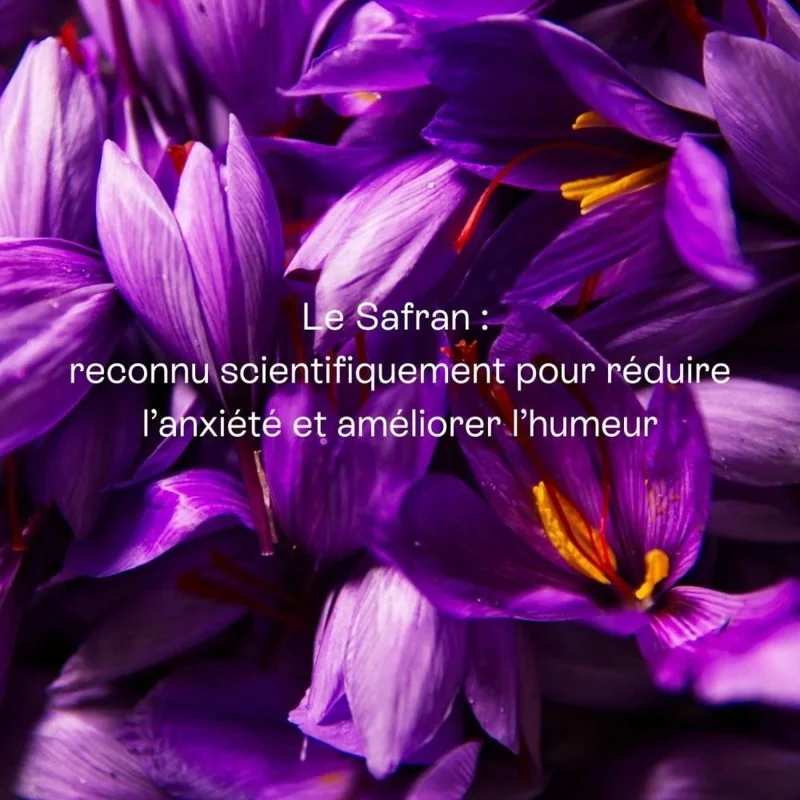 Mon cycle Zen, humeur, sommeil et relaxation 1 Mon cycle Zen, humeur, sommeil et relaxation 1