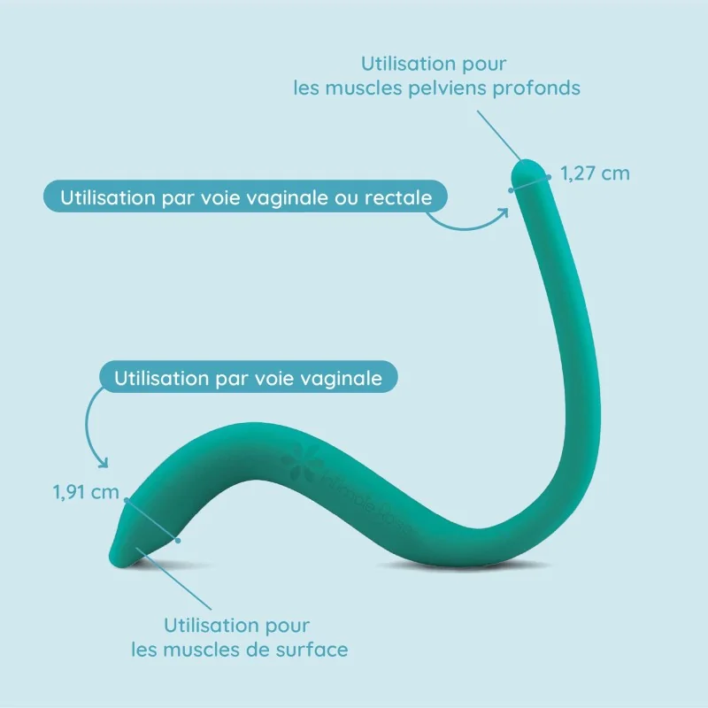 Baguette vibrante pelvienne | Dispositif interne pour la thérapie pelvienne et le relâchement des muscles Baguette vibrante pelvienne | Dispositif interne pour la thérapie pelvienne et le relâchement des muscles