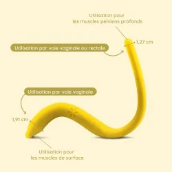 Wand anal et vaginal chauffant pour les douleurs pelviennes
