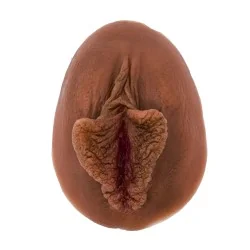 Location Vulve Papillon en silicone foncé