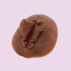 Location Vulve Papillon en silicone foncé à plat