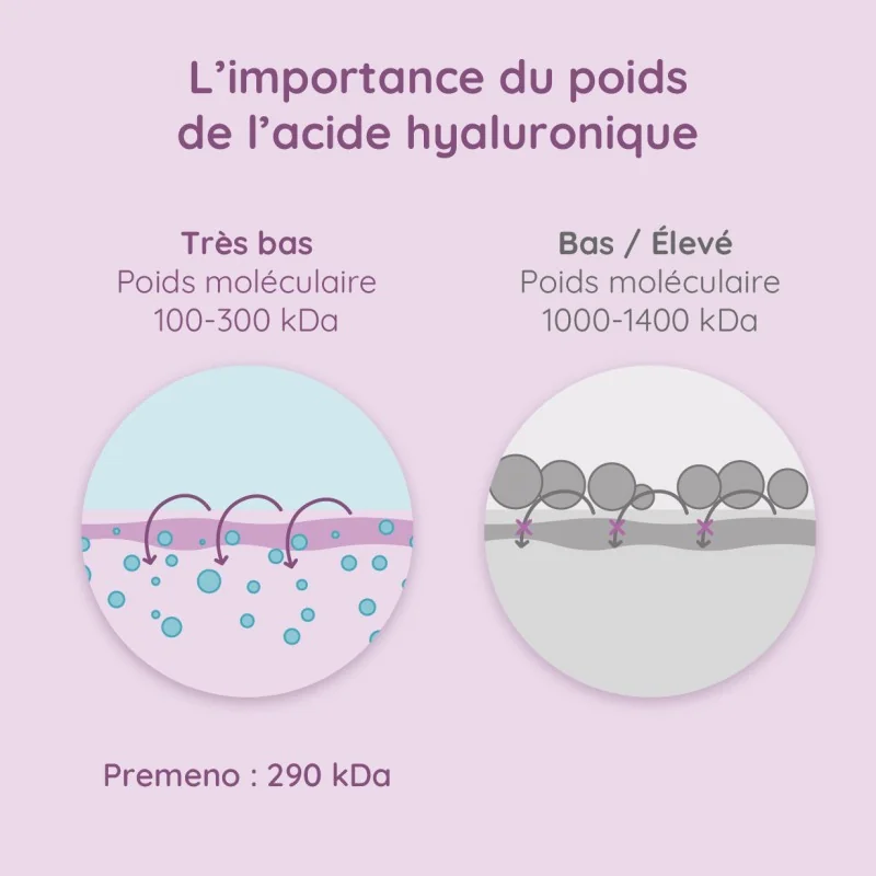 faible poids moléculaire de l'acide hyaluronique schématisé faible poids moléculaire de l'acide hyaluronique schématisé