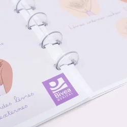 anneaux dans carnet de schémas sur l'anatomie féminine