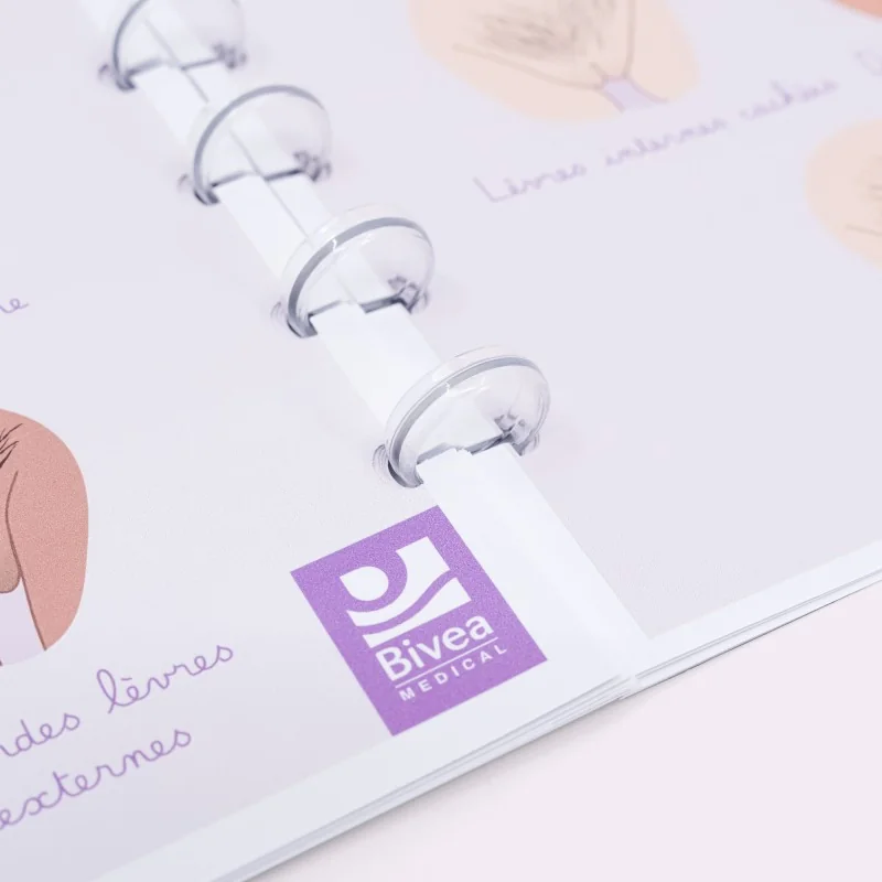 anneaux dans carnet de schémas sur l'anatomie féminine anneaux dans carnet de schémas sur l'anatomie féminine