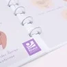 anneaux dans carnet de schémas sur l'anatomie féminine anneaux dans carnet de schémas sur l'anatomie féminine