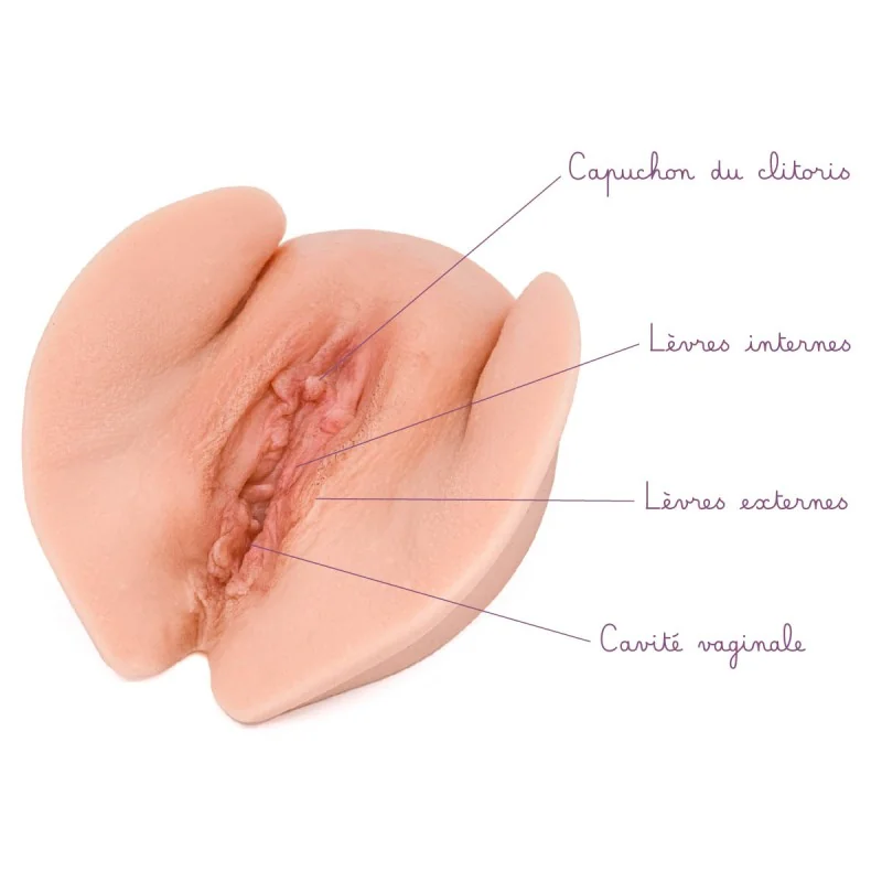 vulve mutilée en silicone avec légendes