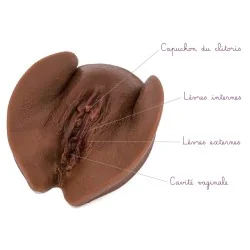 vulve mutilée foncée en silicone pour l'éducation reconditionnée avec légendes
