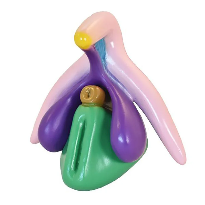 Modèle clitoris plus de Medintim vue de côté pour l'éducation à la sexualité