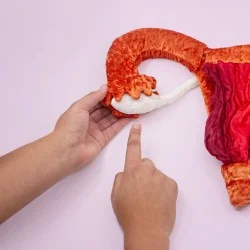 utérus et ovaires en peluche tenu dans une main