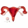 utérus et ovaires en peluche utérus et ovaires en peluche