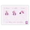 Carte anatomique Clitoris Dicklit Pénis Carte anatomique Clitoris Dicklit Pénis
