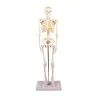 Squelette Tom, miniature Squelette Tom, miniature