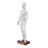Modèle d'acupuncture chinoise, féminin, 48 cm Modèle d'acupuncture chinoise, féminin, 48 cm