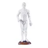 Modèle d'acupuncture chinoise, masculin, 50 cm