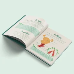 Livre le petit illustré de l'intimité tome 1 schéma clitoris