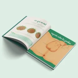 Livre Le petit illustré de l'intimité tome 2 schéma pénis