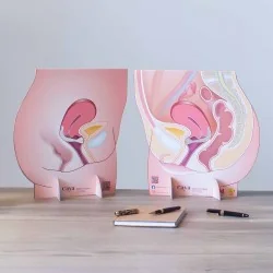 Représentation de...