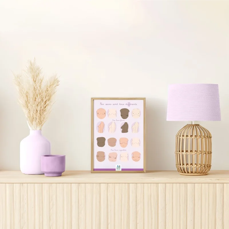 poster différentes formes de seins illustrés en A4