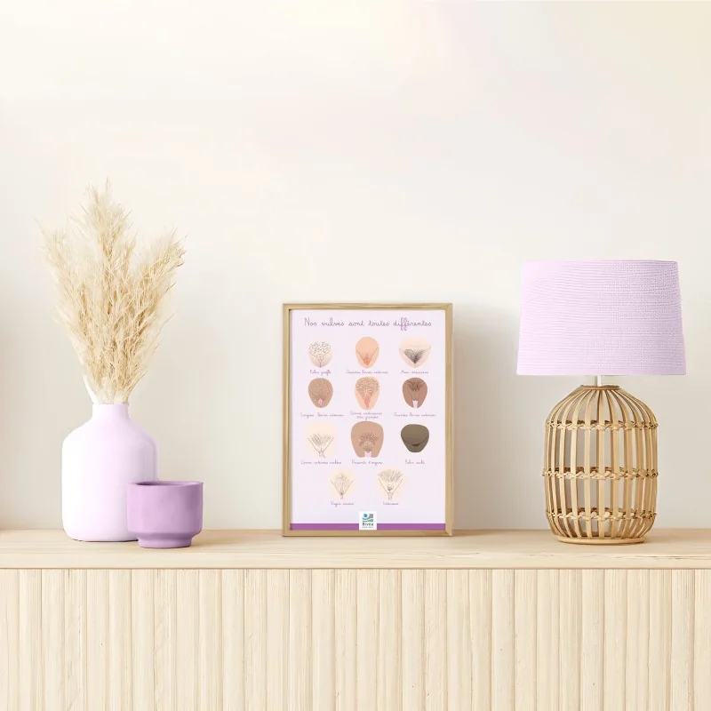 poster différentes formes de vulves illustrées en A4