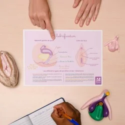 Schéma anatomique La...