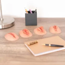 lot de 4 vulves en silicone posées sur un bureau