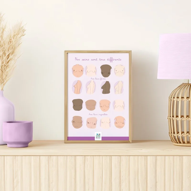poster différentes formes de seins illustrés en A4