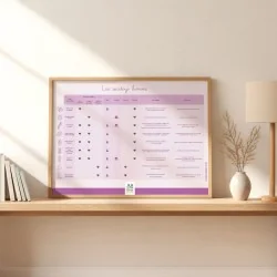 Tableau des différents types de sextoys masculins encadré