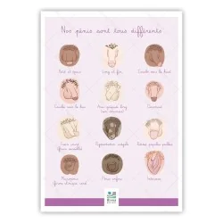 schéma illustré des différentes formes de pénis avec filigrane