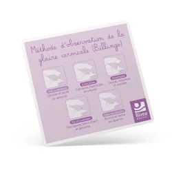Carte méthode d'observation de la glaire cervicale schémas