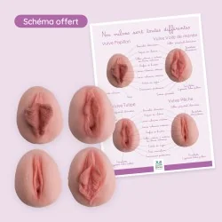 vulves en silicone avec poster offert