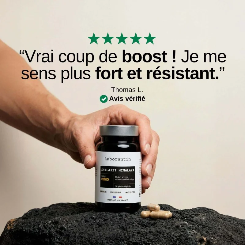 Complément alimentaire Shilajit Himalaya