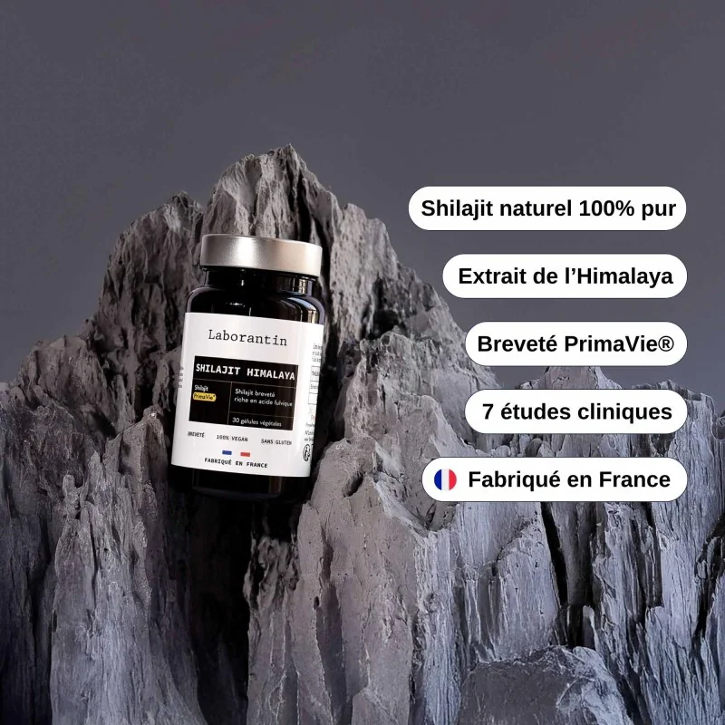 Complément alimentaire Shilajit Himalaya