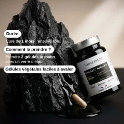 Complément alimentaire Shilajit Himalaya