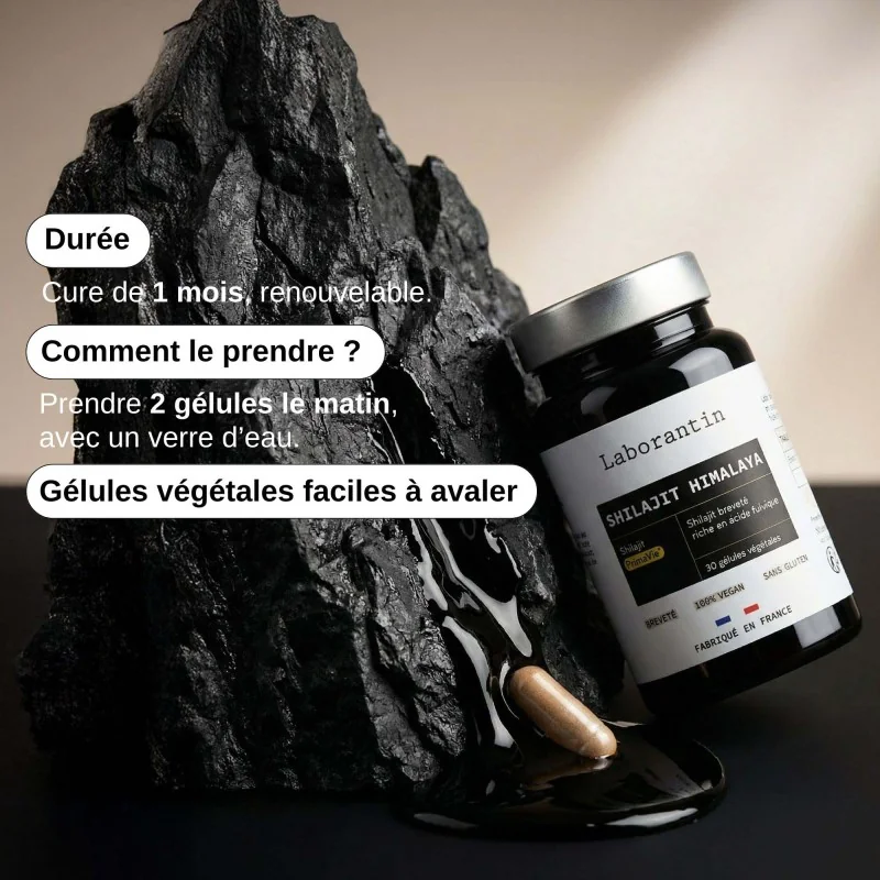 Complément alimentaire Shilajit Himalaya