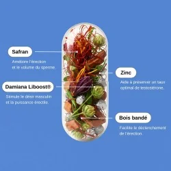 Complément alimentaire Erect power