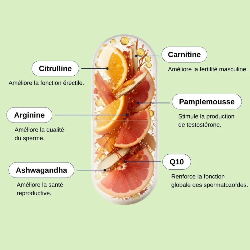 Complément alimentaire Nutri fertilité homme