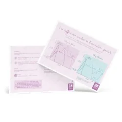 Schéma les différentes courbes de l'excitation génitale