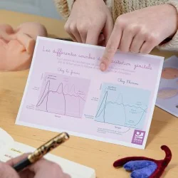 Recto de l'illustration Les différentes courbes de l'excitation génitale en trains d'être utilisé