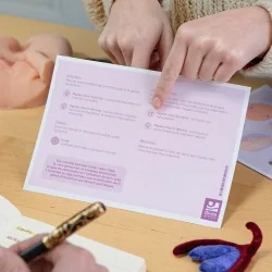 Verso de l'illustration Les différentes courbes de l'excitation génitale en trains d'être utilisé