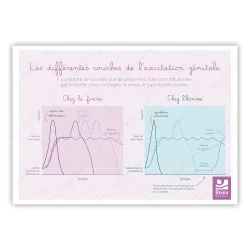 Courbes de l'excitation génitale femme et homme