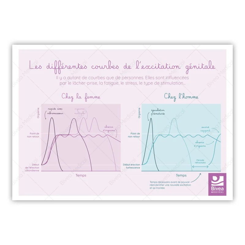 Courbes de l'excitation génitale femme et homme