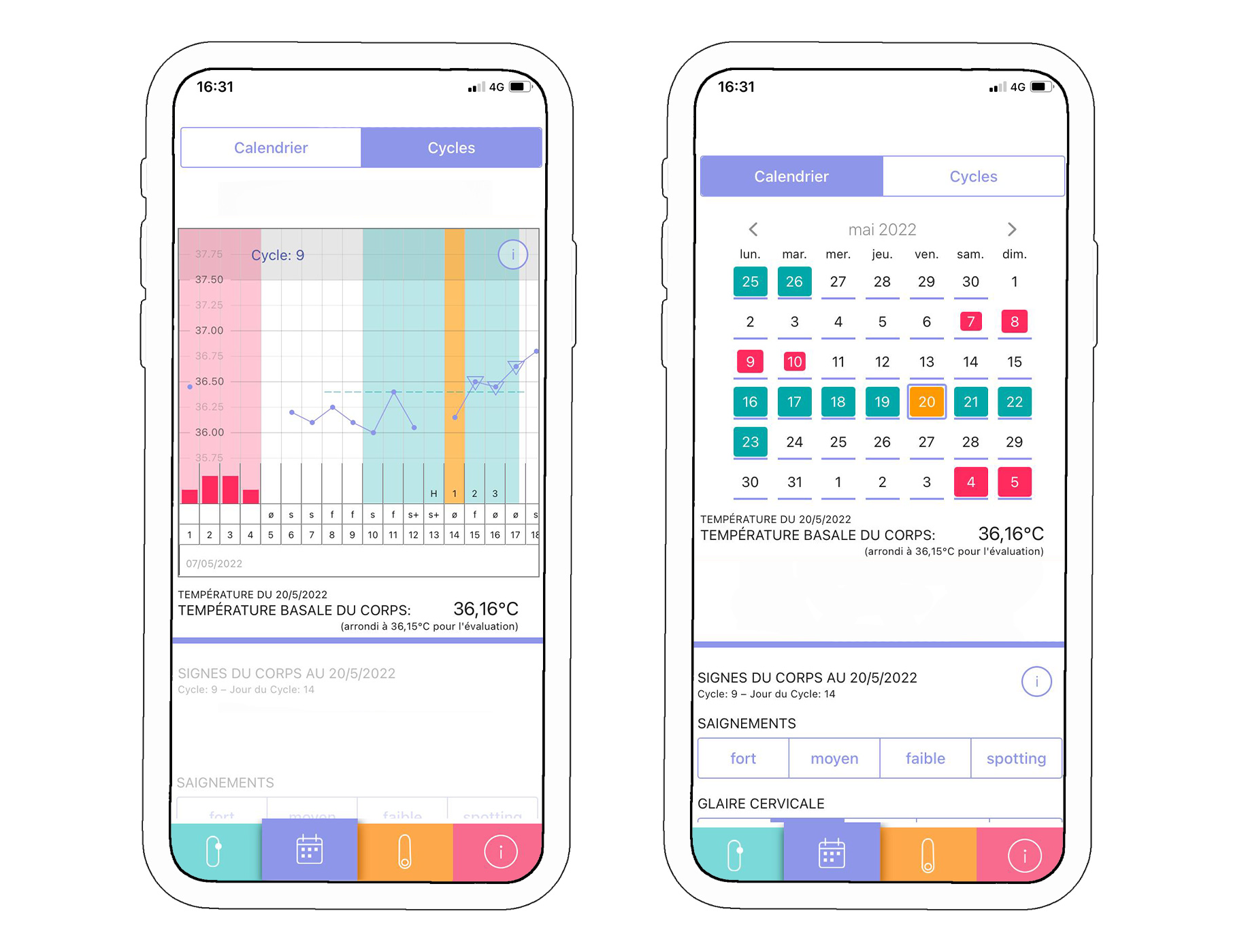 Screenshot courbe des températures et calendrier 