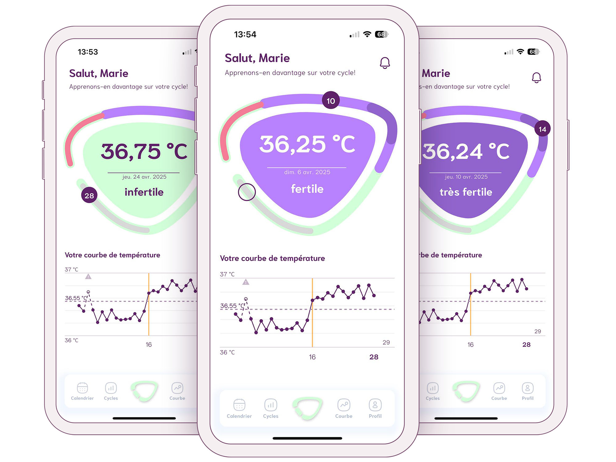 Screenshot graphique journalier de la fertilité
